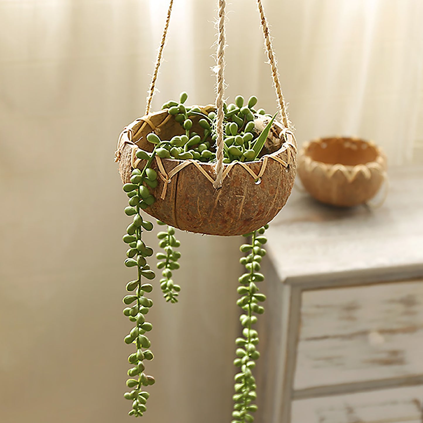 Hanging Coconut Shell Planter