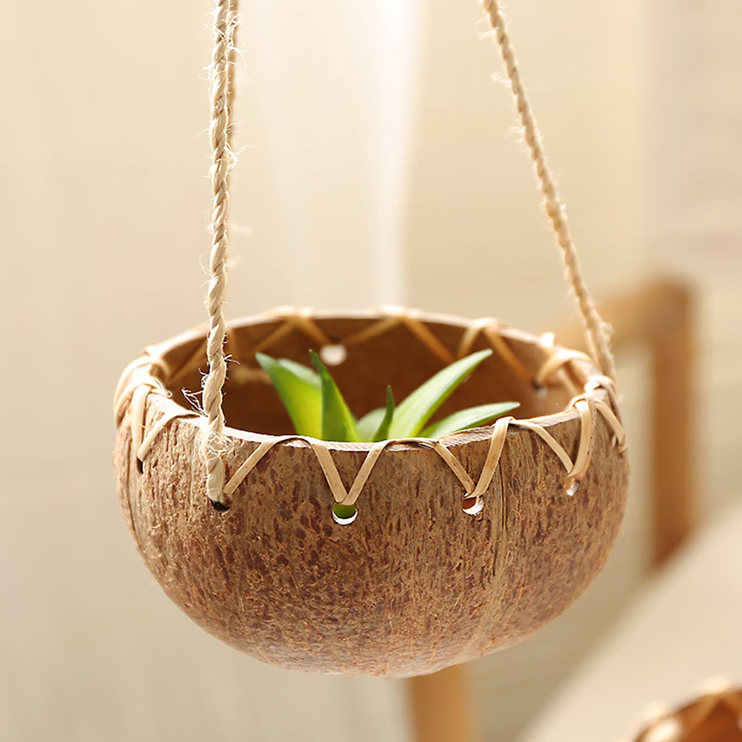 Hanging Coconut Shell Planter