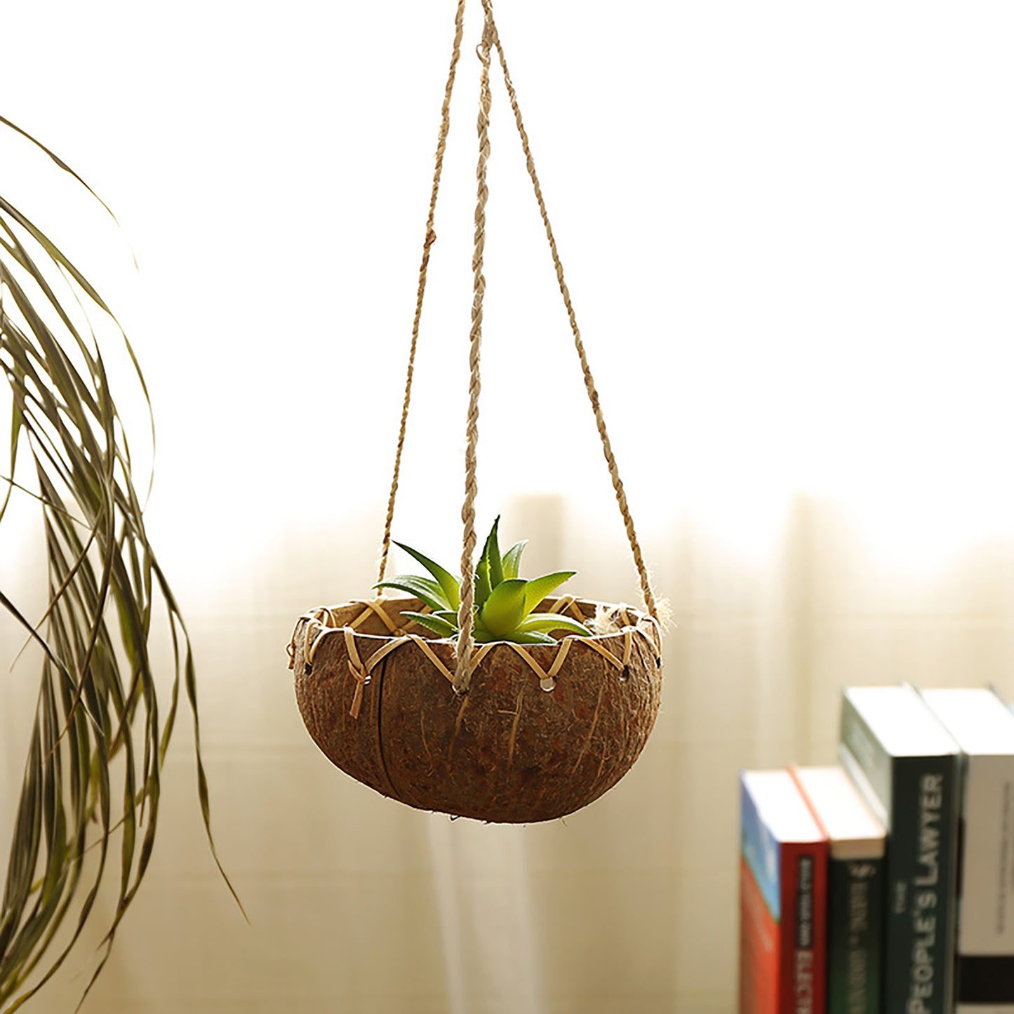 Hanging Coconut Shell Planter