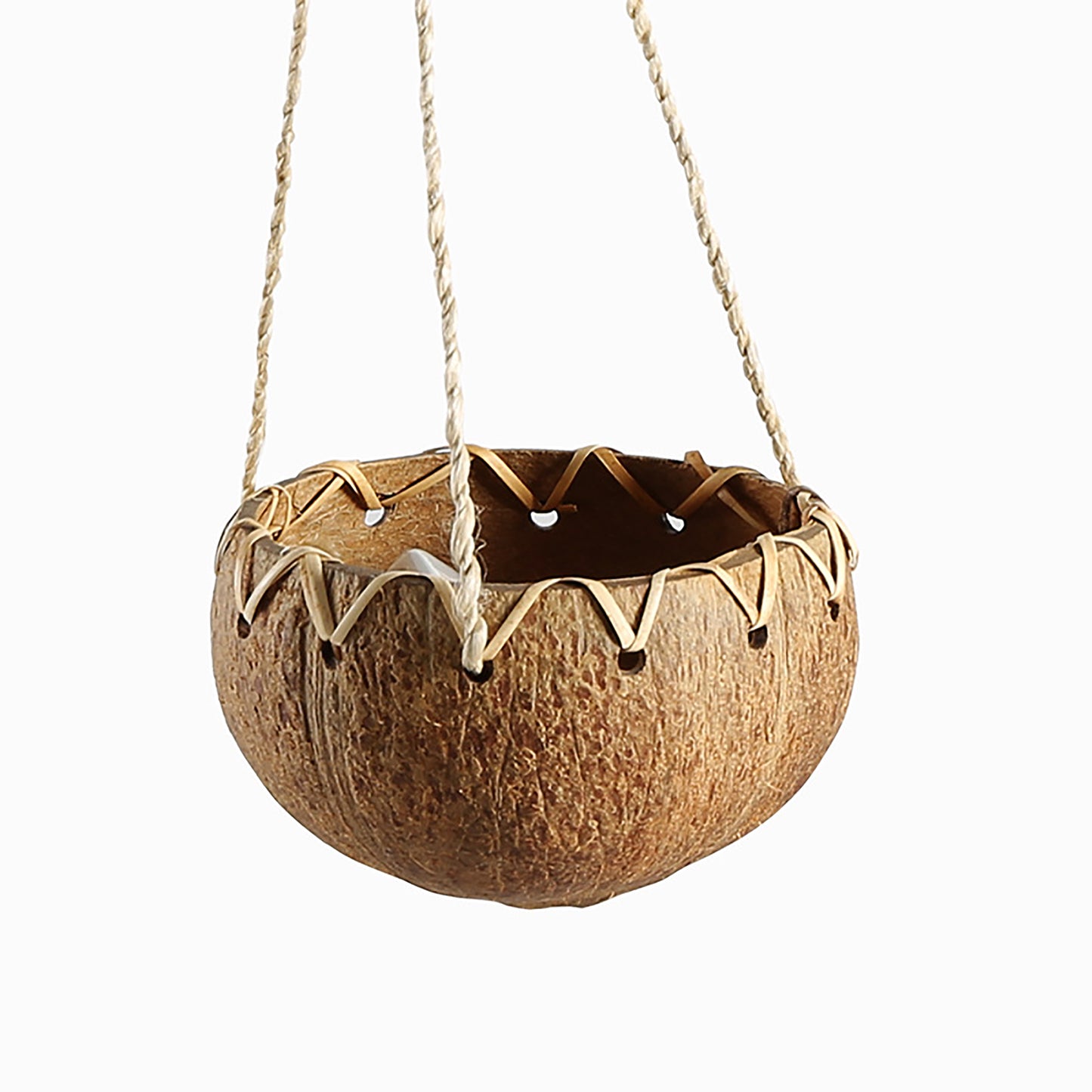 Hanging Coconut Shell Planter