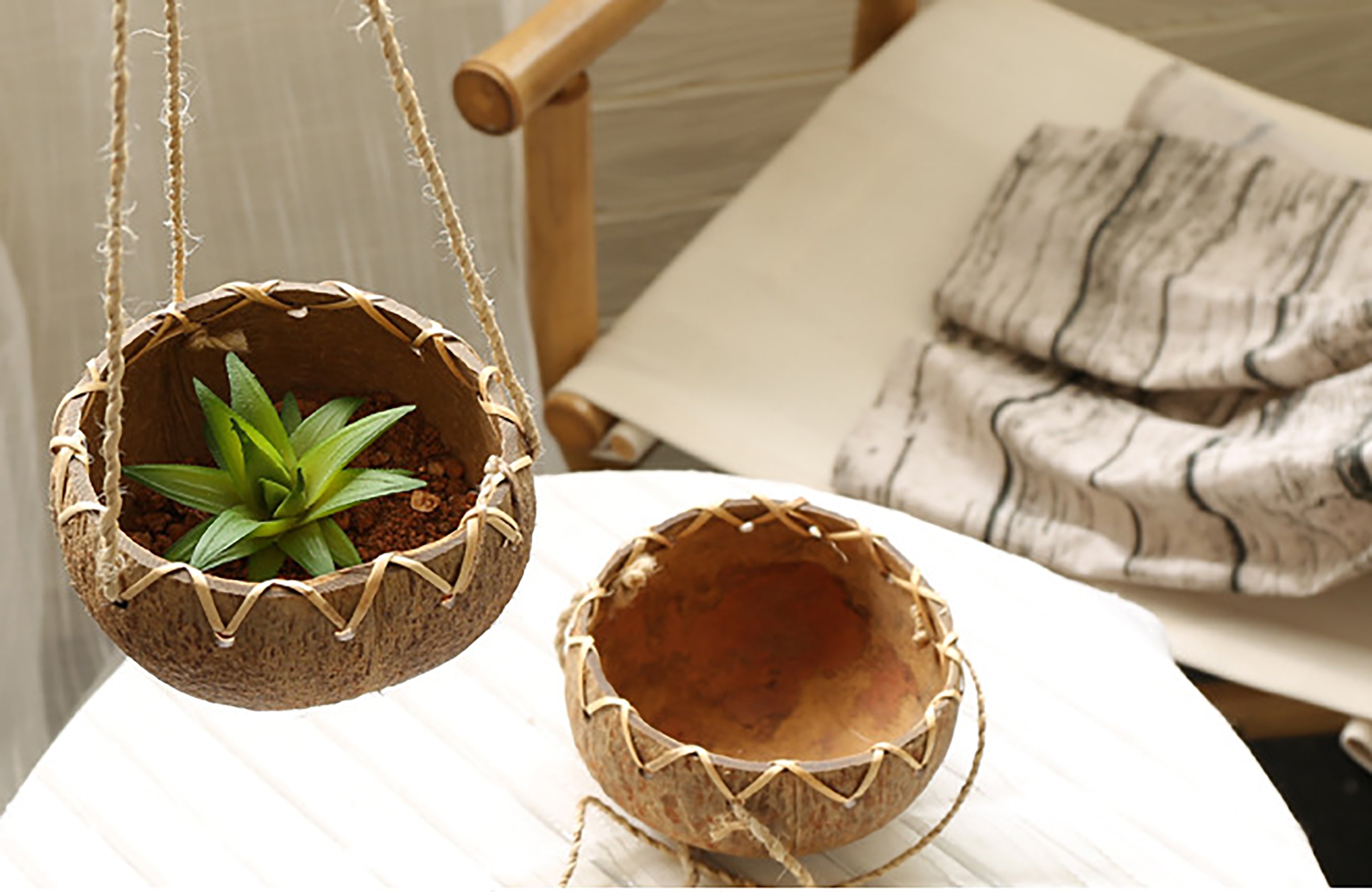 Coconut high quality shell crown shaped planters