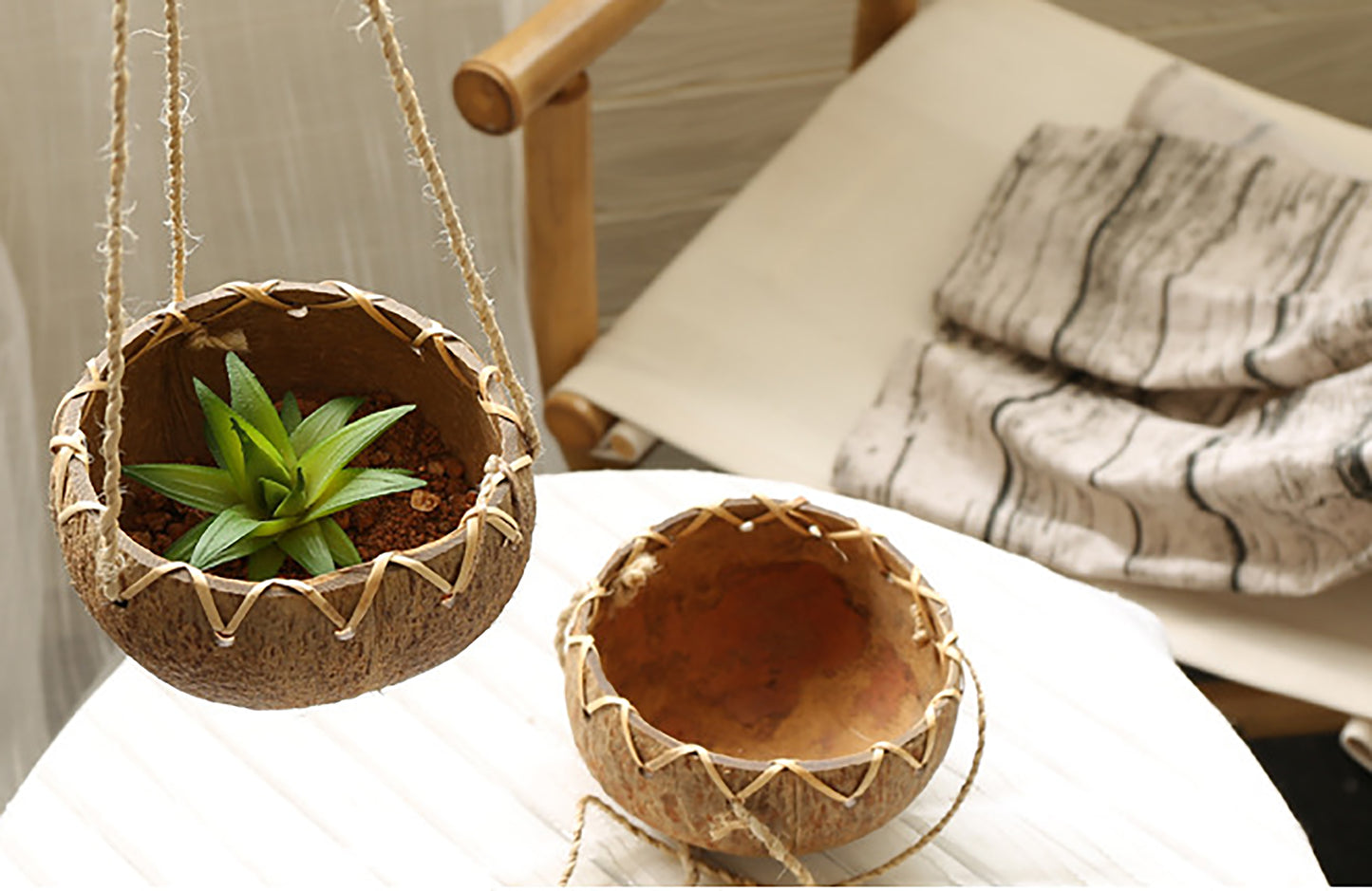 Hanging Coconut Shell Planter