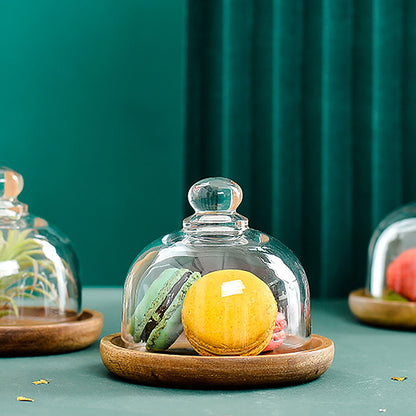 Mini Glass Dome with Base, Wooden Cake Plate with Dome for Plants