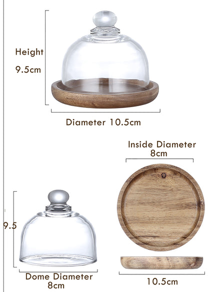 Mini Glass Dome with Base, Wooden Cake Plate with Dome for Plants